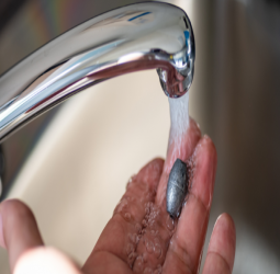 ALERTA DE SALUD PÚBLICA